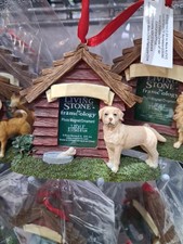 Blonde Labrador Photo