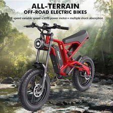 Hidoes B6 20" Fat Tyre E-Bike