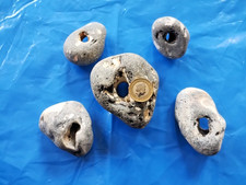 5 Hagstones Hag Stones  Large