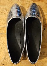 ✨ Metallic Silver Croc