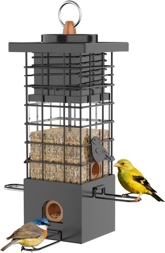 Squirrel proof bird - proof,