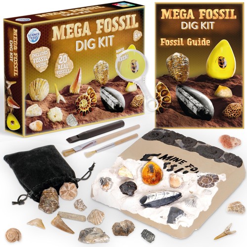 Science kidz fossils - kidz, 20