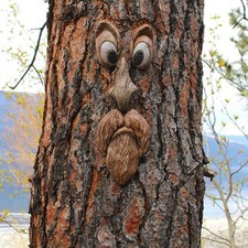 Outdoor Tree Funny Old Man