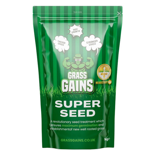 Lawn seed 1kg premium - lawn,