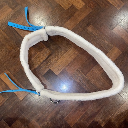 Shires turquoise nylon - shires,