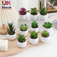 Fake Plants Artificial Succulent Cactus Bonsai Plants Succulents Bonsai  Home