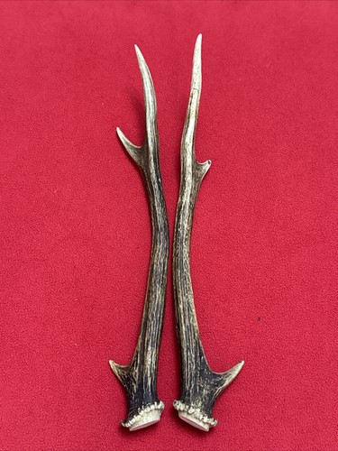 Pair sika deer antlers - pair, of