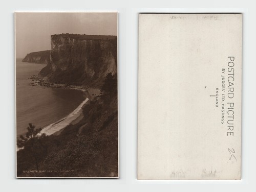 Vintage real photo - vintage,