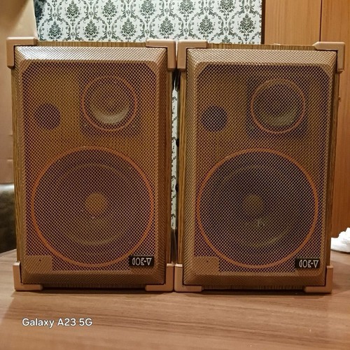 Diatone 301 vintage - a-301?,