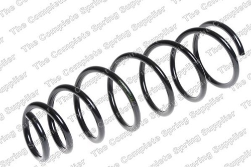 Lesjofors 4255461 suspension - 4255461,