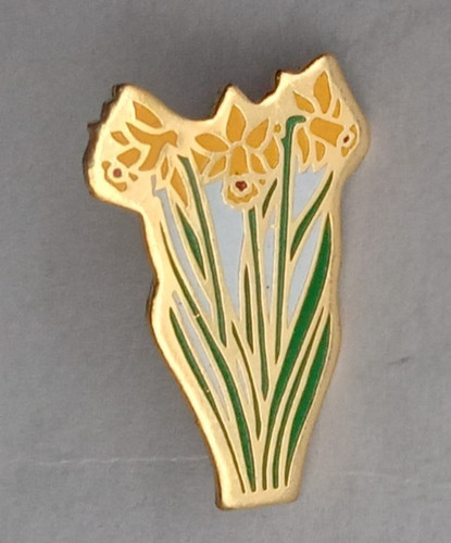 Bunch daffodils enamel - of,