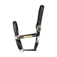 Hy Equestrian Leather