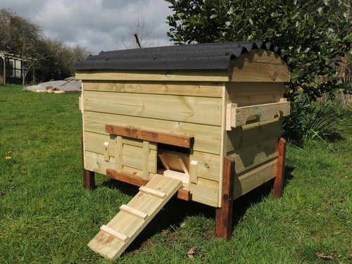 Brecon poultry chicken rabbit - poultry,