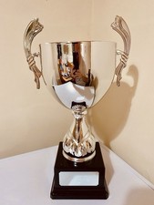 🏆 Silver Trophy 15.5” |