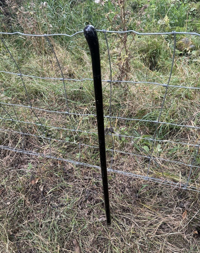 Vintage walking stick painted - stick,