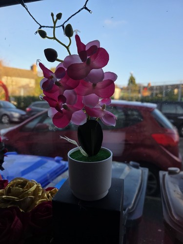 Artificial orchid arrangement - artificial,