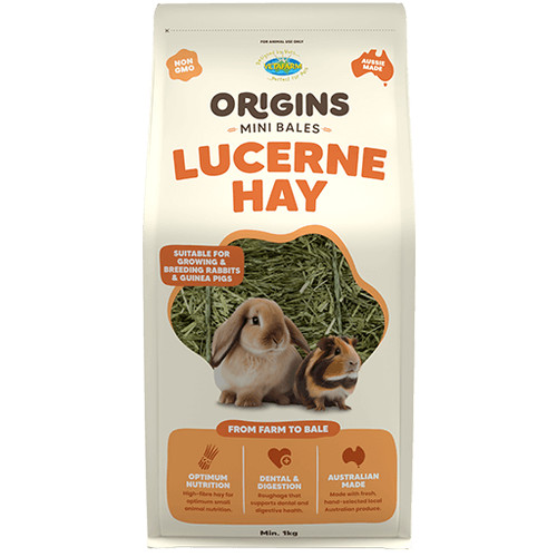 Guinea pig rabbit alfalfa hay - pig,