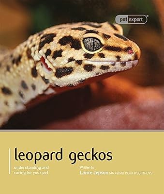 Leopard gecko pet - -, expert
