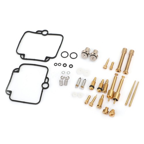 Carburetor carb rebuild - 2x,