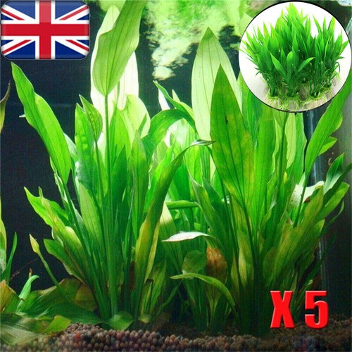 Artificial fake plastic - 5,