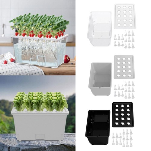 Hydroponic growing system - hydroponic,