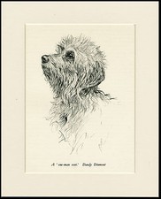 DANDIE DINMONT TERRIER VINTAGE