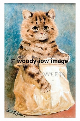 Rp02788 louis wain cat - -,