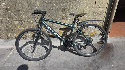 Carerra parva mountain bike - carerra,