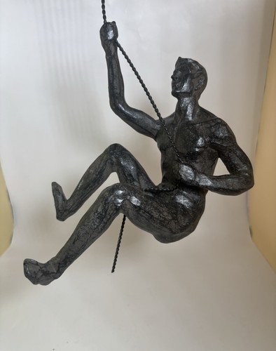 Modern bronze effect climbing - bronze,