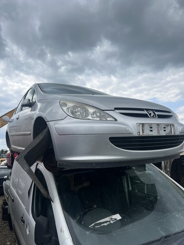 2004 peugeot 307 quicksilver - 307,