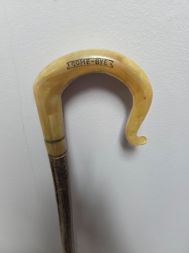 Rams horn shepherds - rams, crook