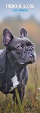French Bulldog 2026 Slim