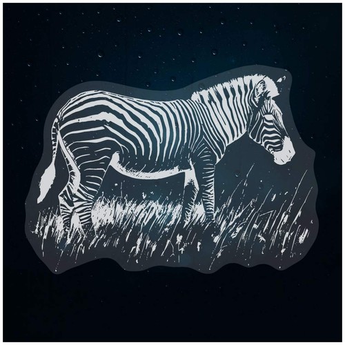 Zebra grazing grass - on, grass'