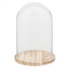 Glass Cloche Belljar w Light