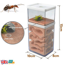 Insect Ant Moisture Nest with Feeding Area Ant Farm Ant Colony House Feeder Box
