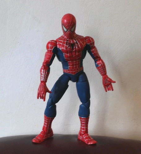 Spider man the - man, movie