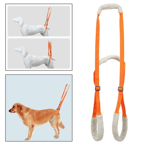 Dog lift harness - lift, rear