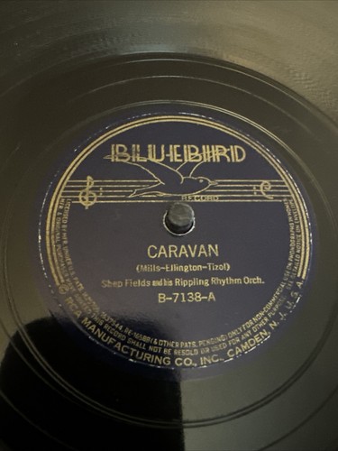 Bluebird rpm shep - bluebird,