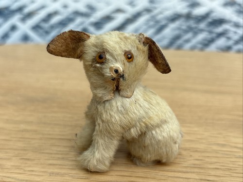 Vintage little dog - dog, original