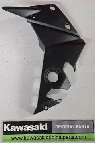 Genuine kawasaki z750 r - genuine,