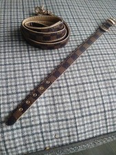 Brand New Adjustable Dog