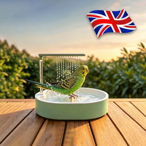 Automatic bird bathtub - bird, parrot