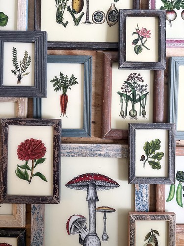 Botanical reverse glass - botanical,