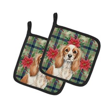 Blenheim Cavalier Spaniel