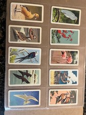 BROOKE BOND (TEA)- (CANADA)