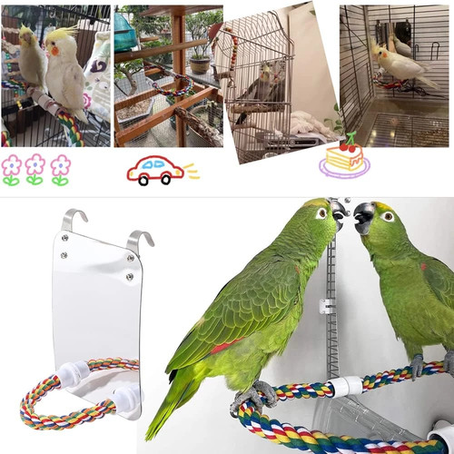 Acrylic bird mirror with perch - acrylic,
