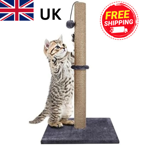 74cm tall large cat scratching - tall,