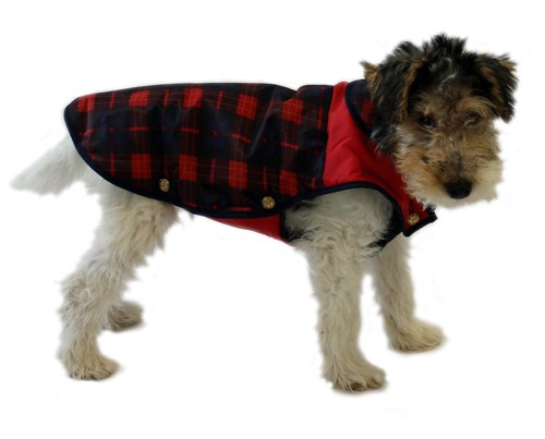 Alpine dog coat with - alpine,