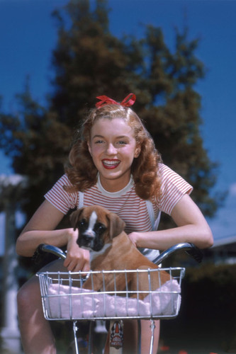 Actress marilyn monroe 1950s - marilyn,