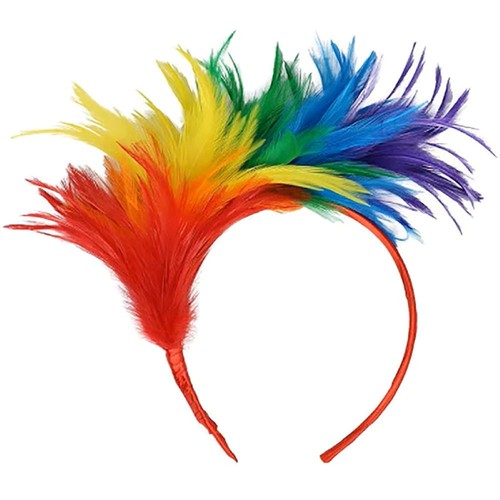 Unisex novelty fancy dress - fancy, gay